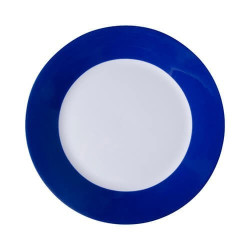 Plate with blue edge lining...